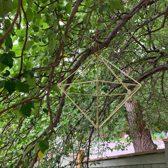 Umbra geometric air plant hangers - Picture 1 of 9